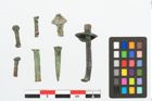 Foto von Bronzeniet (NHMW-PRAE-026711)